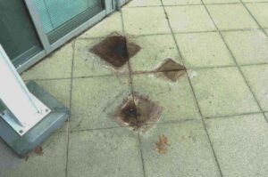 SteinDino Sauro 80 | Hochwirksam gegen Kalk-Erde-Laub-Obstflecken