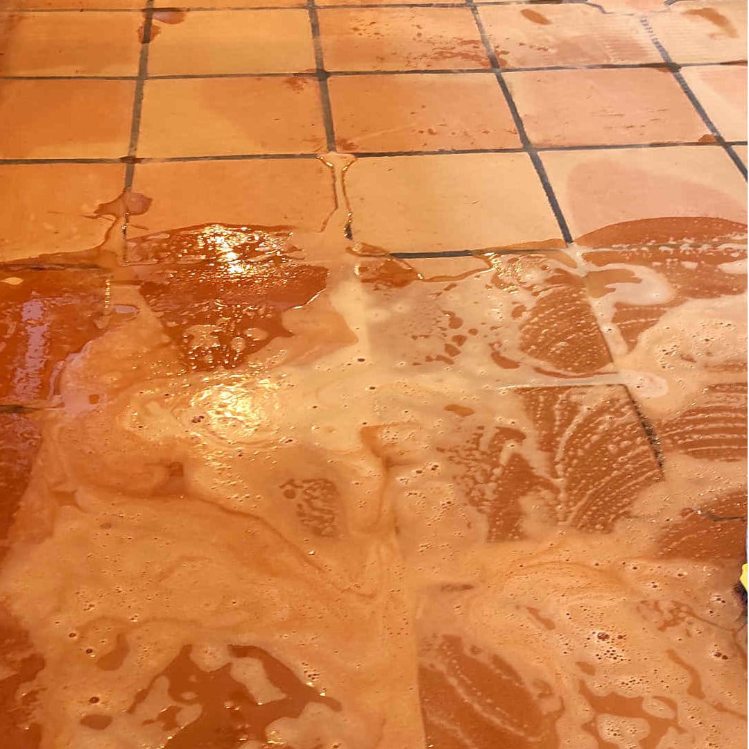 Reinigung Terracotta Tpfe