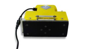 SteinDino Maus -Miete