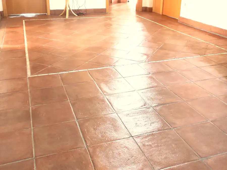 Terracotta Grundreinigung