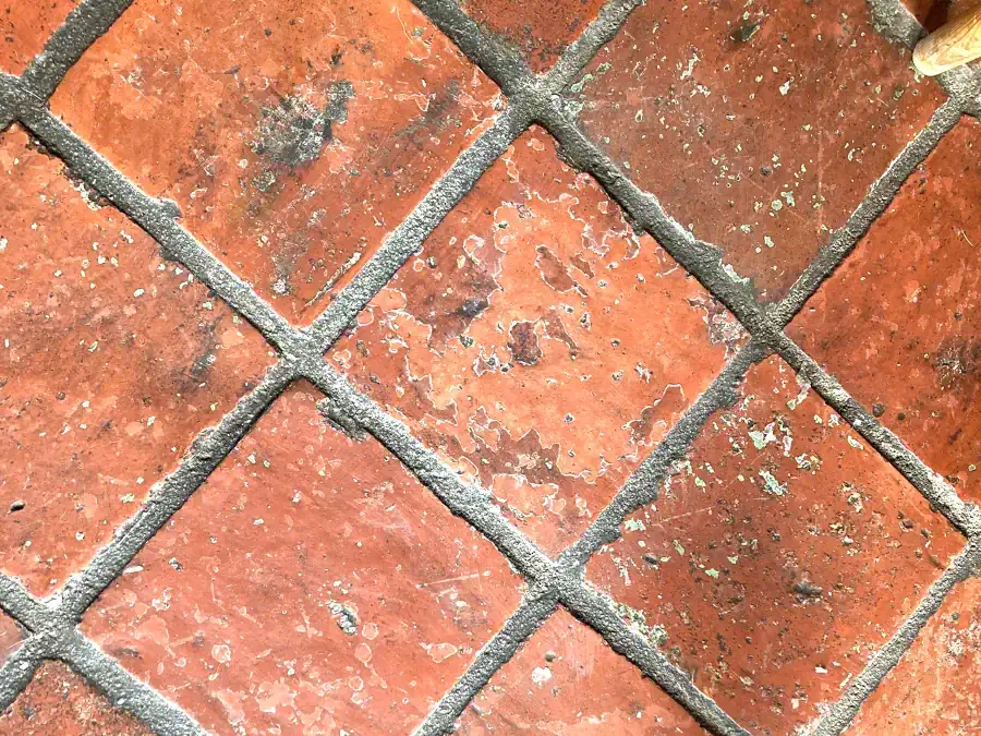 Terracotta Sanierung