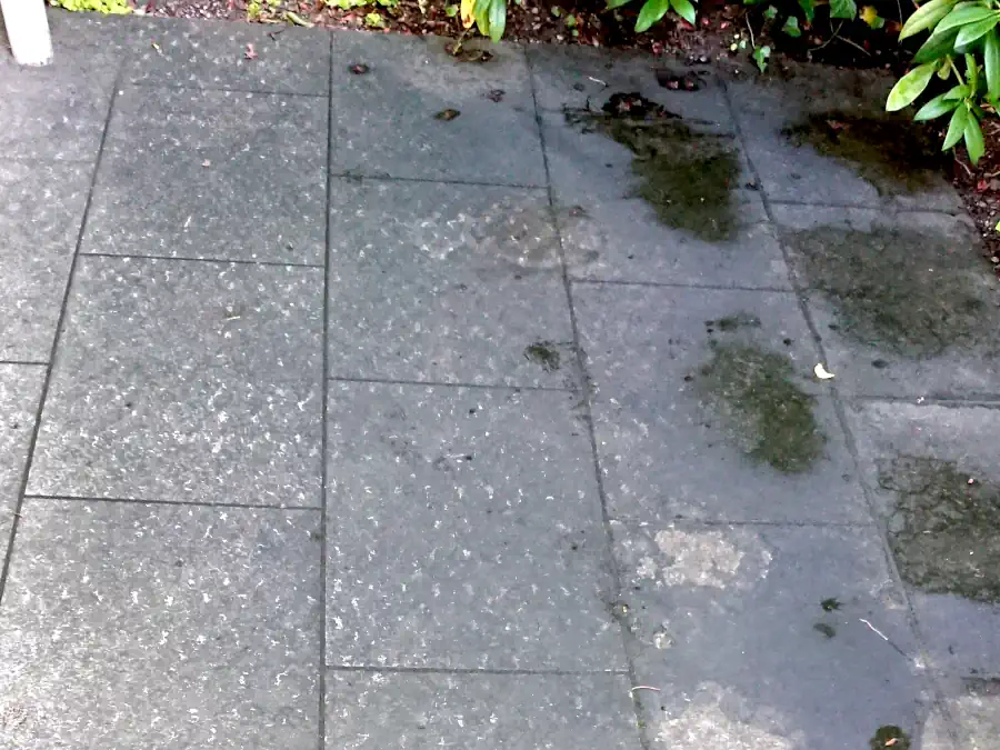 Granit (China) grau Grundreinigung vorher