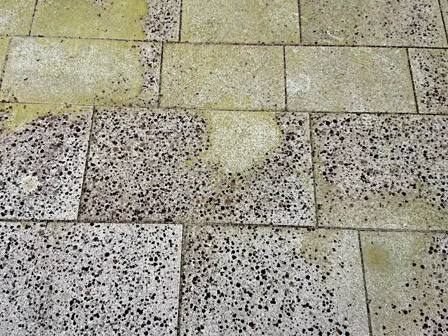 Herrnholzer Granit Grundreinigung